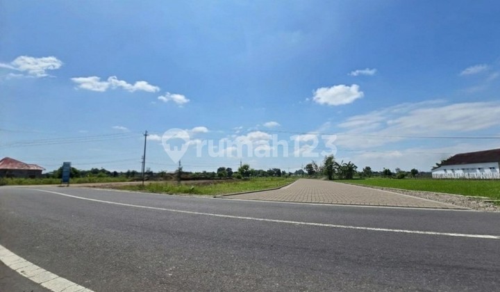 Tanah Jogja Murah, Hanya 9 Menit Tugu Jogja, SHM Pekarangan Tanah Jogja Murah, Hanya 9 Menit Tugu Jogja, SHM Pekarangan