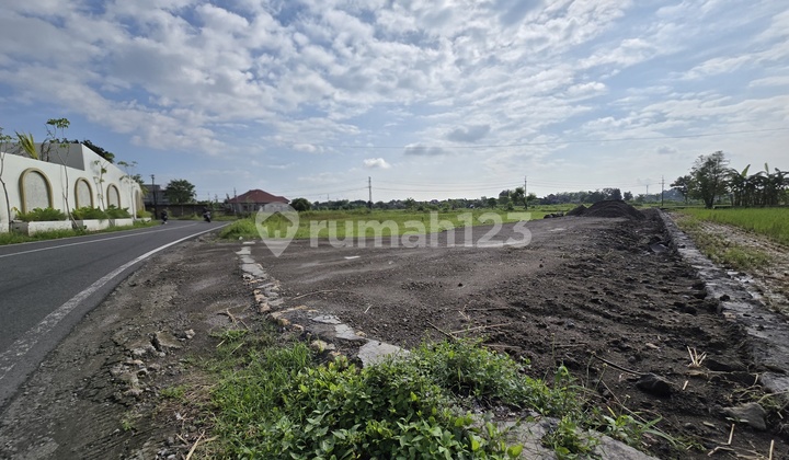Tanah Dijual Jogja, Hanya 9 Menit Tugu Jogja, Tepi Jalan Raya Tanah Dijual Jogja, Hanya 9 Menit Tugu Jogja, Tepi Jalan Raya