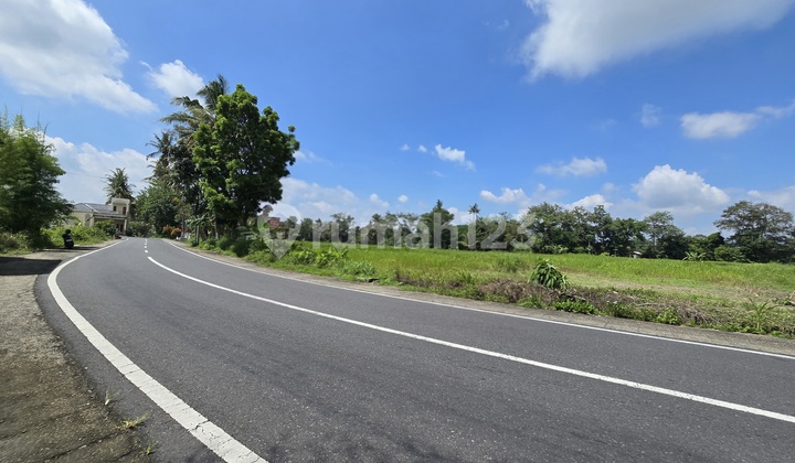 Tanah Murah Yogyakarta, 5 Menit Kopi Klotok, SHM Pekarangan Tanah Murah Yogyakarta, 5 Menit Kopi Klotok, SHM Pekarangan