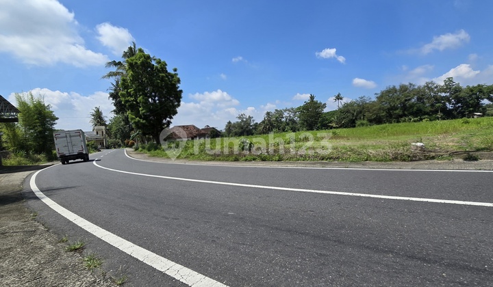 Tanah Cocok Investasi, Dekat Area Kampus Uii, Tepi Jalan Raya Tanah Cocok Investasi, Dekat Area Kampus Uii, Tepi Jalan Raya