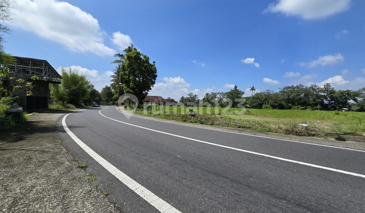 Tanah Murah Jogja, 5 Menit Rs Panti Nugroho, SHM Pekarangan Tanah Murah Jogja, 5 Menit Rs Panti Nugroho, SHM Pekarangan