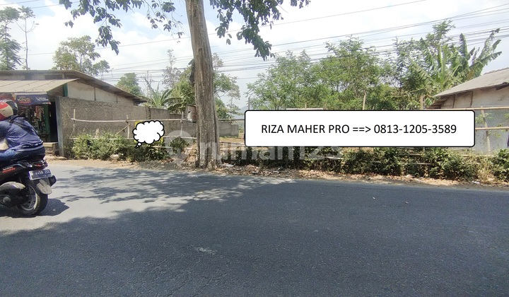 Land on Provincial Road Near Toll, Good for Warehouse in Tanjungsari, Sumedang Land on Provincial Road Near Toll, Good for Warehouse in Tanjungsari, Sumedang