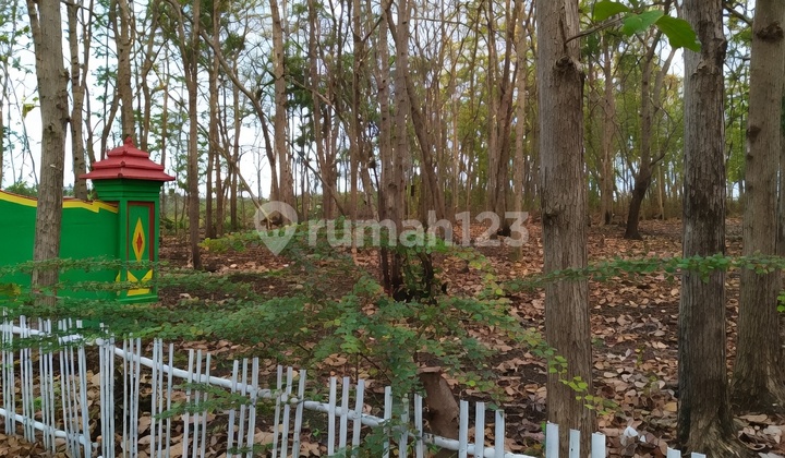 Potensi Komersial Tinggi! Tanah Baron KM 5 Wonosari - Jalur Wisata Siap Dikembangkan Skala Besar