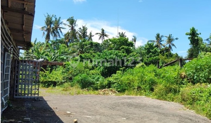 Strategic Land Plot, Karangasem City Location
