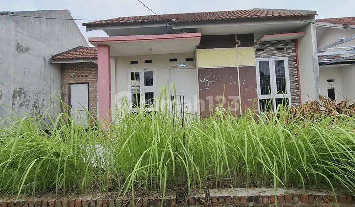 Rumah Murah Aset Bank Syariah Nasional di Pekanbaru,Rumbai , Kota Pekanbaru Rumah Murah Aset Bank Syariah Nasional di Pekanbaru,Rumbai , Kota Pekanbaru