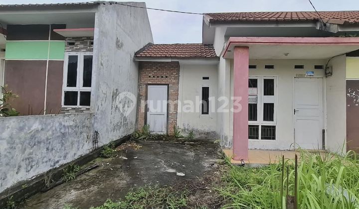 Rumah Murah Aset Bank Syariah Nasional di Pekanbaru,Rumbai , Kota Pekanbaru Rumah Murah Aset Bank Syariah Nasional di Pekanbaru,Rumbai , Kota Pekanbaru