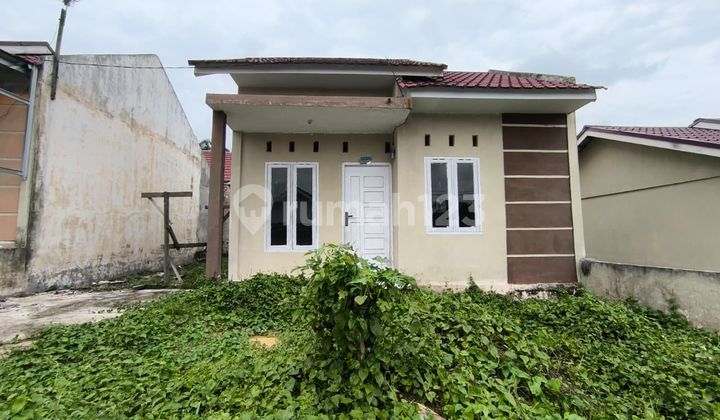 Rumah Murah Aset Bank Syariah Nasional di Pekanbaru,Rumbai , Kota Pekanbaru Rumah Murah Aset Bank Syariah Nasional di Pekanbaru,Rumbai , Kota Pekanbaru