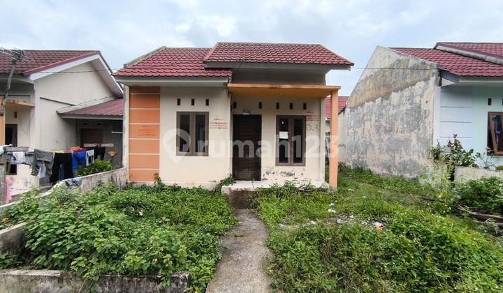 Rumah Murah Aset Bank Syariah Nasional di Pekanbaru,Rumbai , Kota Pekanbaru Rumah Murah Aset Bank Syariah Nasional di Pekanbaru,Rumbai , Kota Pekanbaru