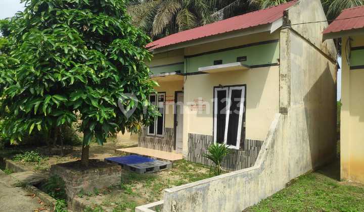 Rumah Murah Aset Bank Syariah Nasional di Pekanbaru,Tenayan Raya , Kota Pekanbaru Rumah Murah Aset Bank Syariah Nasional di Pekanbaru,Tenayan Raya , Kota Pekanbaru
