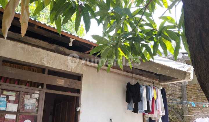 Bebas Banjir, Rumah, 1 Lantai, SHM, di Biring Kanaya Makasar Bebas Banjir, Rumah, 1 Lantai, SHM, di Biring Kanaya Makasar