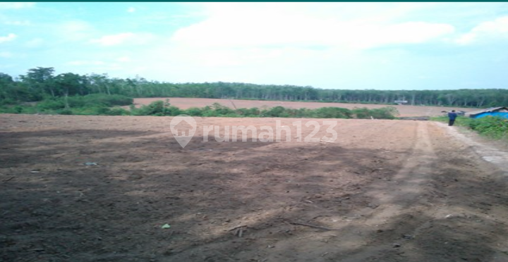 Tanah Dijual Semendawai Suku Iii