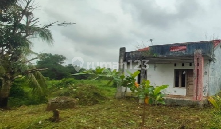 Rumah Dijual Cempaka.