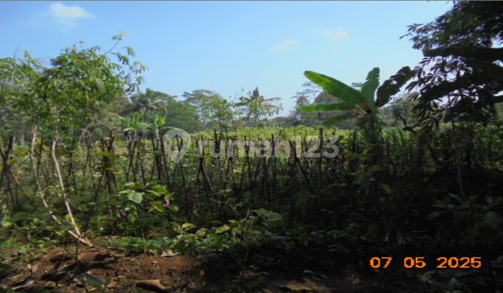 Tanah Dijual Jumantono