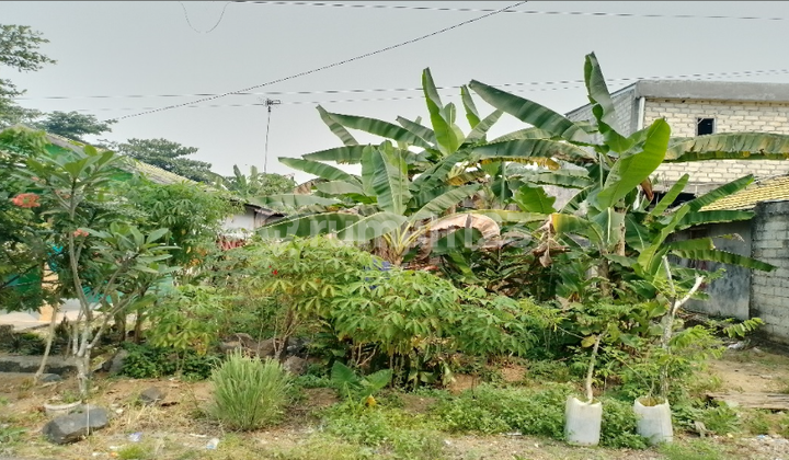 Tanah Kosong di Kota Banjarbaru