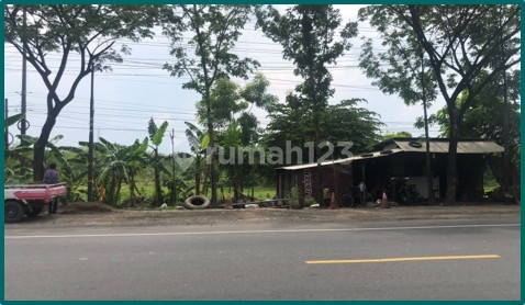 Dijual Tanah Luas, Berada di Pinggir Jalan Raya, Strategis Dijual Tanah Luas, Berada di Pinggir Jalan Raya, Strategis
