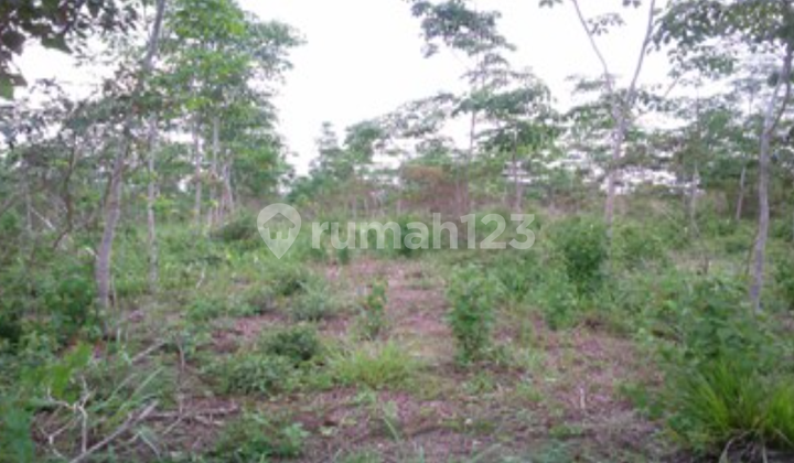 Tanah Dijual Semendawai Suku Iii