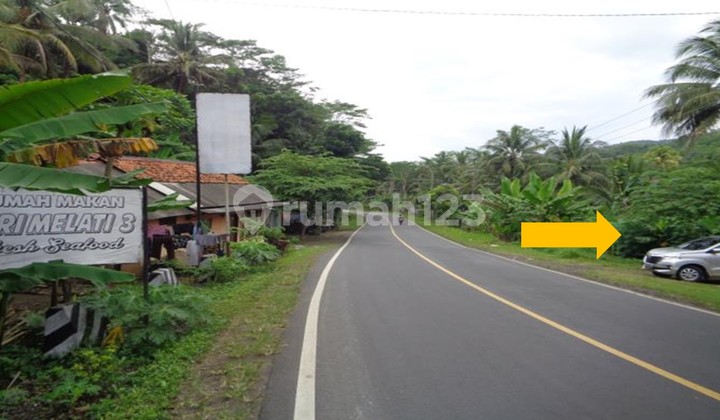 Tanah Dijual Kalipucang Tanah Dijual Kalipucang