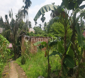 Tanah Dijual Alam Barajo Tanah Dijual Alam Barajo