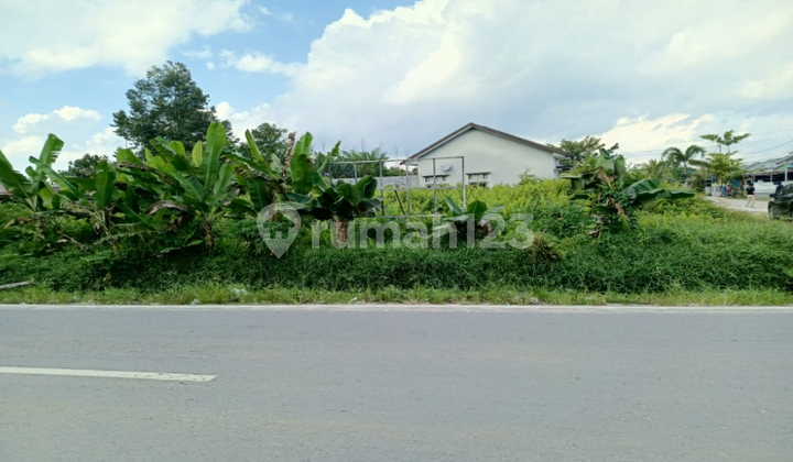 Tanah Kavling di Kabupaten Kotawaringin Timur