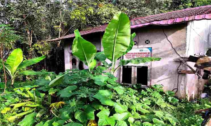 Rumah Dijual Jambi Timur