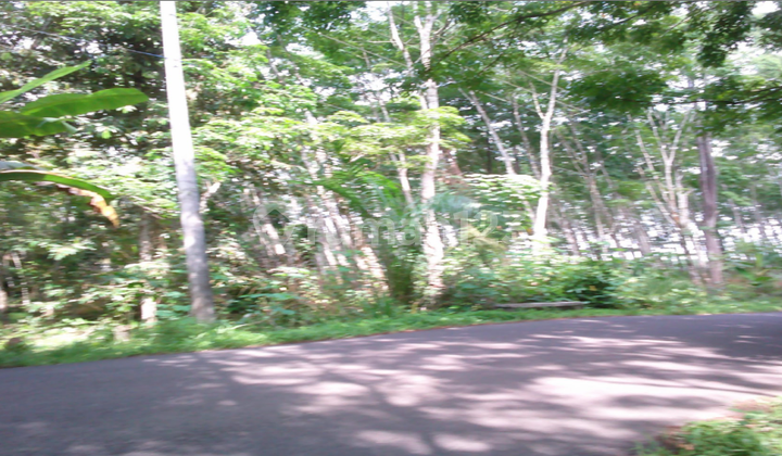 Tanah Dijual Semendawai Suku Iii