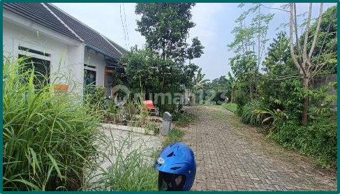 Rumah Dijual Ciomas