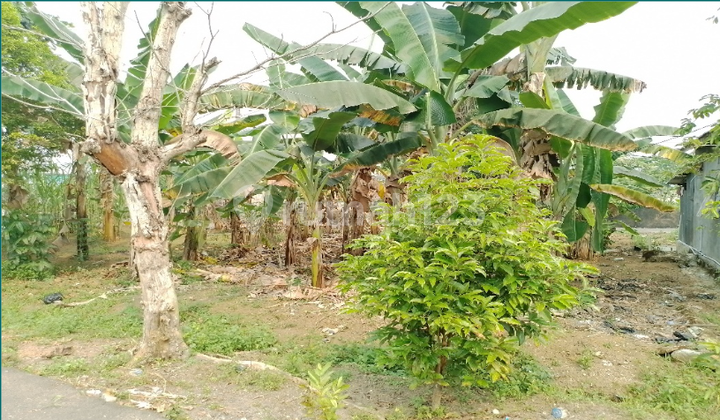 Tanah Kosong di Kota Banjarbaru