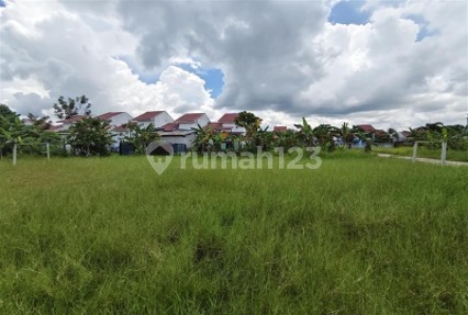 Tanah Kosong di Kabupaten Kotawaringin Timur Tanah Kosong di Kabupaten Kotawaringin Timur