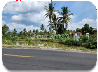 Tanah Kosong Murah Aset Bsi di Pesawaran, Bandar Lampung Tanah Kosong Murah Aset Bsi di Pesawaran, Bandar Lampung