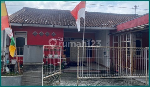 Rumah Strategis Harga Manis, Siap Disulap Jadi Kost Eksklusif! Rumah Strategis Harga Manis, Siap Disulap Jadi Kost Eksklusif!