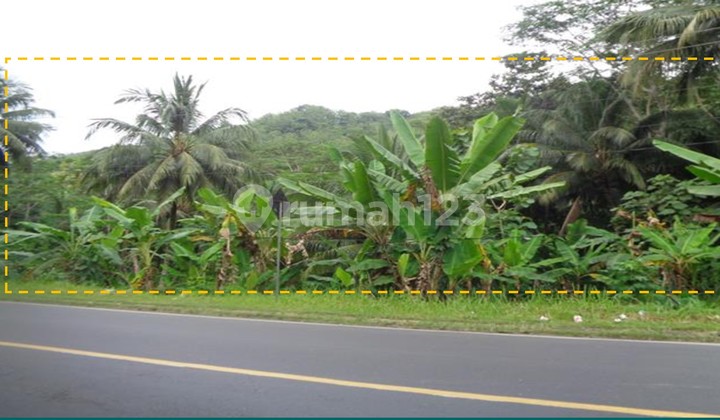 Tanah Dijual Kalipucang Tanah Dijual Kalipucang