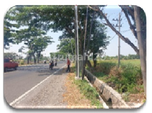 Tanah Kosong Murah Aset Bsi di Pasuruan Tanah Kosong Murah Aset Bsi di Pasuruan