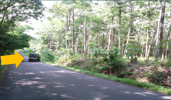 Tanah Dijual Semendawai Suku Iii