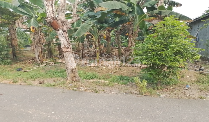 Tanah Kosong di Kota Banjarbaru