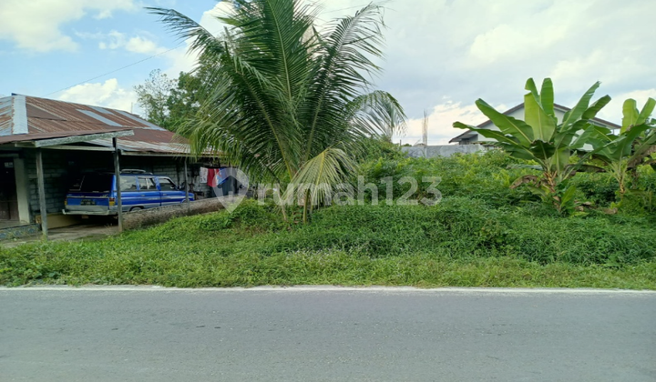 Tanah Kavling di Kabupaten Kotawaringin Timur