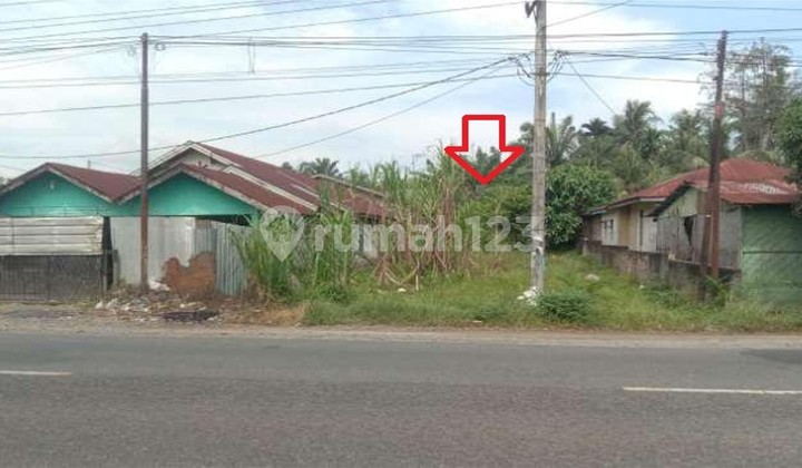 Tanah Kosong di Pinggir Jalan Lintas Tanah Kosong di Pinggir Jalan Lintas