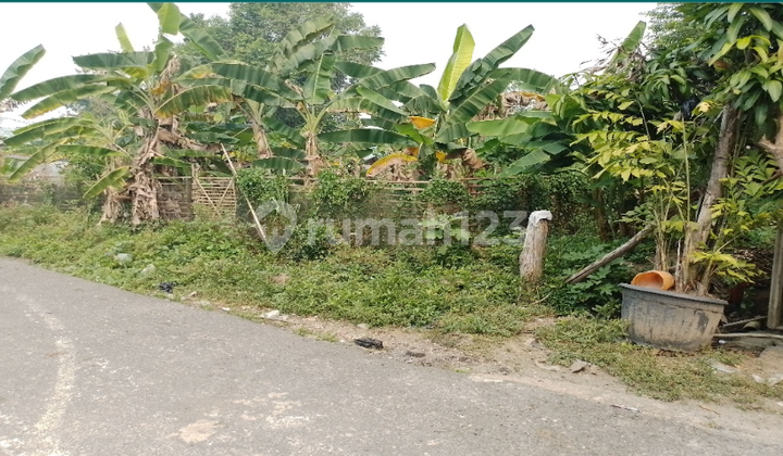 Tanah Kosong di Kota Banjarbaru