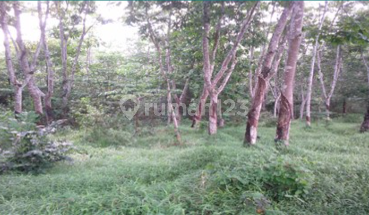 Tanah Dijual Semendawai Suku Iii