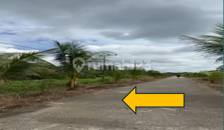 Tanah Kosong di Samboja