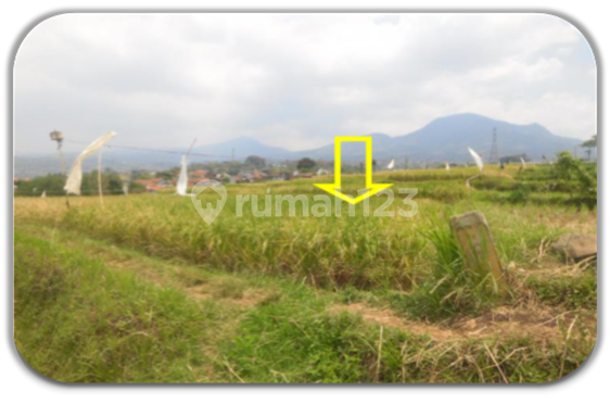 Tanah Kosong Murah Aset Bsi di Bandung Tanah Kosong Murah Aset Bsi di Bandung