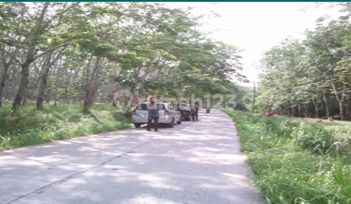 Tanah Dijual Semendawai Suku Iii