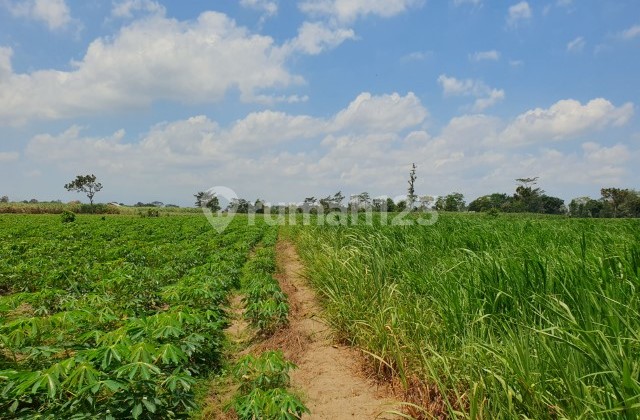 Desa Cendono, Kecamatan Kandat Kabupaten Kediri, Provinsi Jawa Timur Desa Cendono, Kecamatan Kandat Kabupaten Kediri, Provinsi Jawa Timur