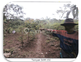 Tanah Kosong Murah Aset Bsi di Lebak, Banten Tanah Kosong Murah Aset Bsi di Lebak, Banten