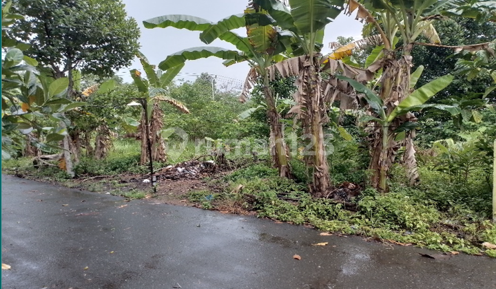 Tanah Kosong di Kota Banjarbaru