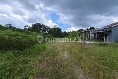 Tanah Kosong di Kabupaten Kotawaringin Timur Tanah Kosong di Kabupaten Kotawaringin Timur