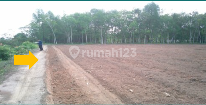 Tanah Dijual Semendawai Suku Iii