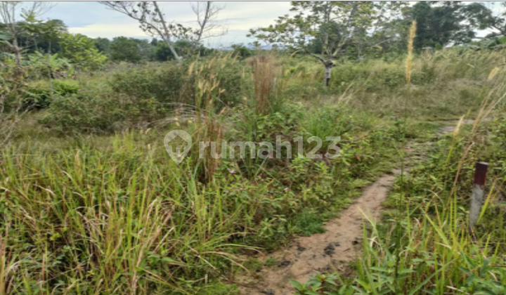 Tanah Kosong di Kabupaten Tanah Bumbu
