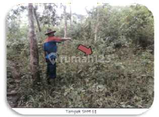 Tanah Kosong Murah Aset Bsi di Lebak, Banten Tanah Kosong Murah Aset Bsi di Lebak, Banten