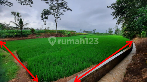 Tanah Dijual Girimarto Tanah Dijual Girimarto