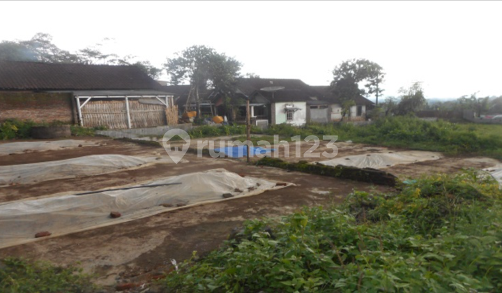 Tanah Kavling di Kecamatan Patrang